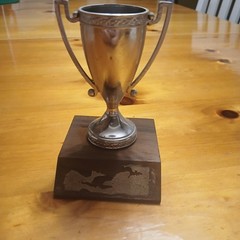 Trophy Cup Silver Metal Cup on Brown Wood Base 4 in Tall, 3 in Base Length