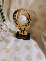 Assorted Plastic Sports Trophy Lot, Engraved/Engravable, Baseball & Triathlon