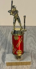 T-ball Boy Trophy Red Gold Grayish White Marble Base 9.5 Inch Kids Baseball