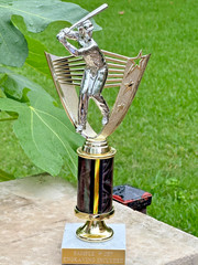 Baseball Trophy -Silver Slugger -MVP -Marble Free Ship & Custom Engraving Inc.