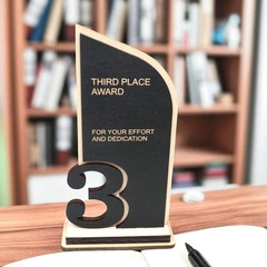 Award – Trophy Award 1st 2nd 3rd Place – 9×5 Inches