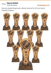 Express Medals Football Trophy Bronze Plastic 6.5″ CA194 Engravable Award 12 Pk