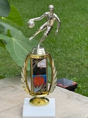 Basketball MVP Trophy 9″ Most Improved -Jr All-Star Award Free Ship & Engrave