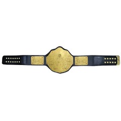 TRUESAGA – Big Gold Wrestling Championship Title Belt Class One Replica All Gold
