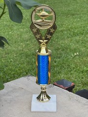 Academic Achievement Trophy Honor Roll & PA 4 Sizes- Free Engraving & Ship