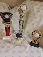 Assorted Plastic Sports Trophy Lot, Engraved/Engravable, Baseball & Triathlon
