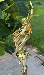 Teacher of the Year -Star Trophy -Educator Excellence Recognition Award – Marble
