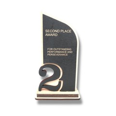 Award – Trophy Award 1st 2nd 3rd Place – 9×5 Inches