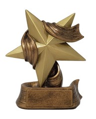 Decade Awards Gold Star Trophy Award – Student Recognition Rising Star