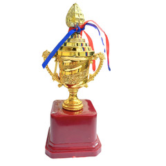 Decorative Gold Trophy Cup with Heavy Red Polished Base,Award Trophy with Ribbon
