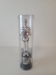 Person of the Year Trophy Award 9″ Inches in Height