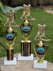 All-Star- Ice Hockey Trophy –MVP – Offense/Defense-Free Shipping & Engraving 14″