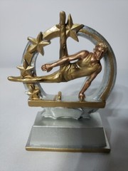 Lot 24 Male Gymnastics Trophies Value Star 5″ Resin Awards
