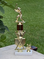 15″ Baseball Trophy -All-Star -MVP League Champs -MVP Engrave & Ships Free