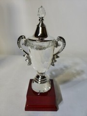 9″ Crystal Golf Trophy Professional Luxury Award Cup