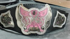 Divas Women’s World Wrestling Championship Belt Adult Size Replica Title 2mm 4m