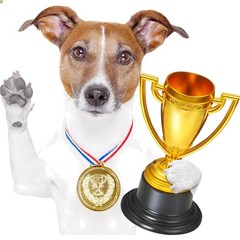 3 Pcs Mini Trophies, Gold Plastic Tiny Small Trophy Cups Winner Awards for Ki…