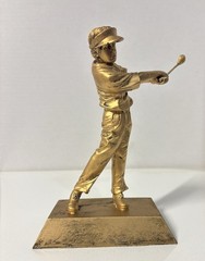 Male Gold Gold Resin Award Trophy With Free Engraved Plate