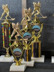 Classic – Ice Hockey Trophy –MVP – Offense/Defense-Free Shipping & Engraving 13″