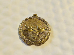 Gold Medal – Swimming