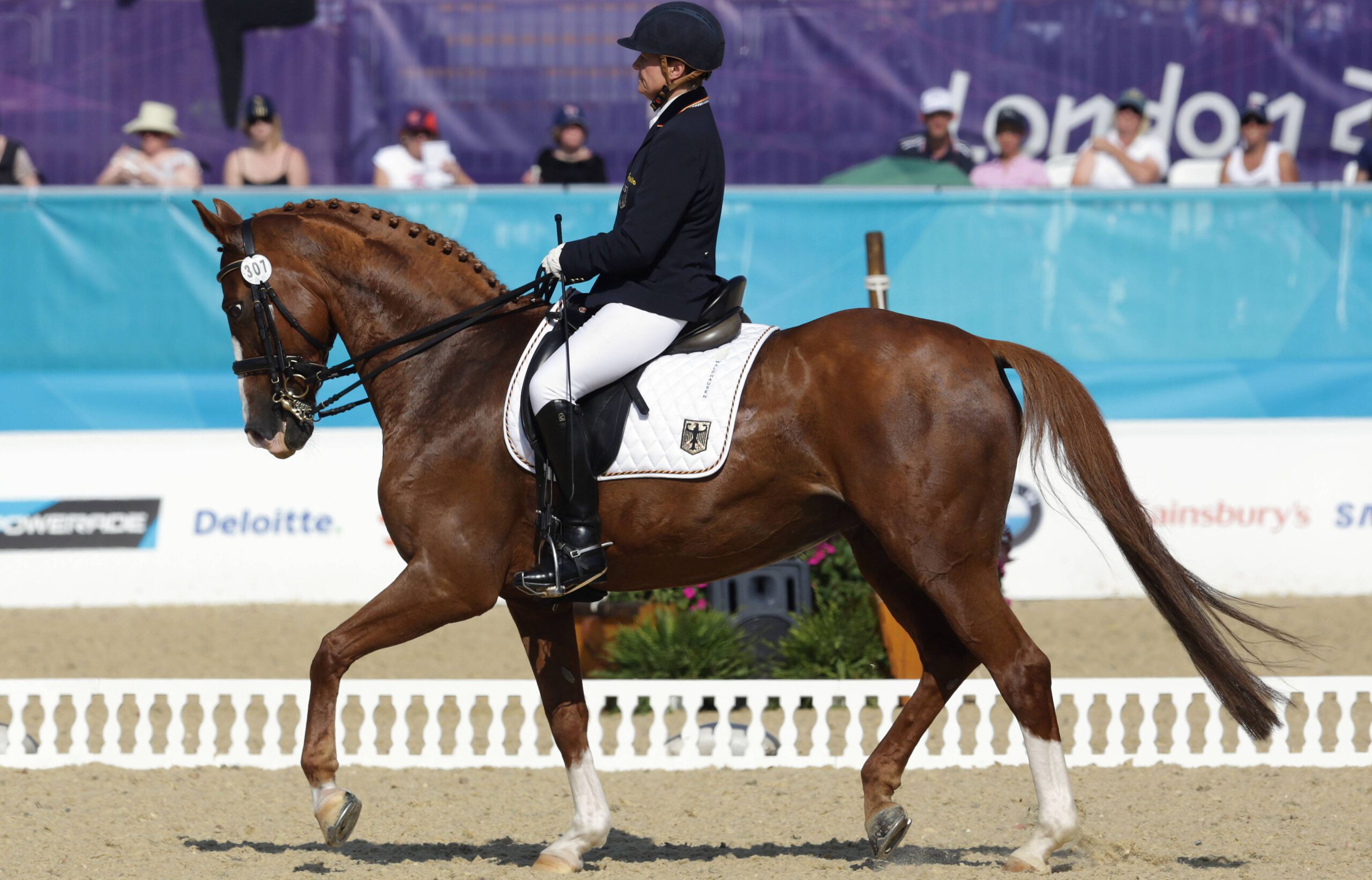 Bildnummer: 11376983  Datum: 04.09.2012  Copyright: imago/Pressefoto Baumann
 London , Paralympics 2012 , Dressur Einzel Kür Grade III , Hannelore Brenner ( GER ) auf Women of the World holt die Goldmedaille ; Paralympics London Sommerspiele Sommer Spiele Behindertensport Behinderung xcb x0x 2012 quer Behindertensport 

Image number 11376983 date 04 09 2012 Copyright imago  Baumann London Paralympics 2012 Dressage Singles Pumpkins Grade III Hannelore Burners ger on Women of The World picks The Gold medal Paralympics London Summer Games Summer Games Disabled Sports Disability  x0x 2012 horizontal Disabled Sports